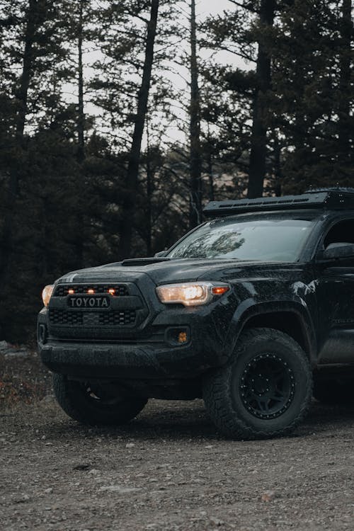 Offroad Car on Road in Forest