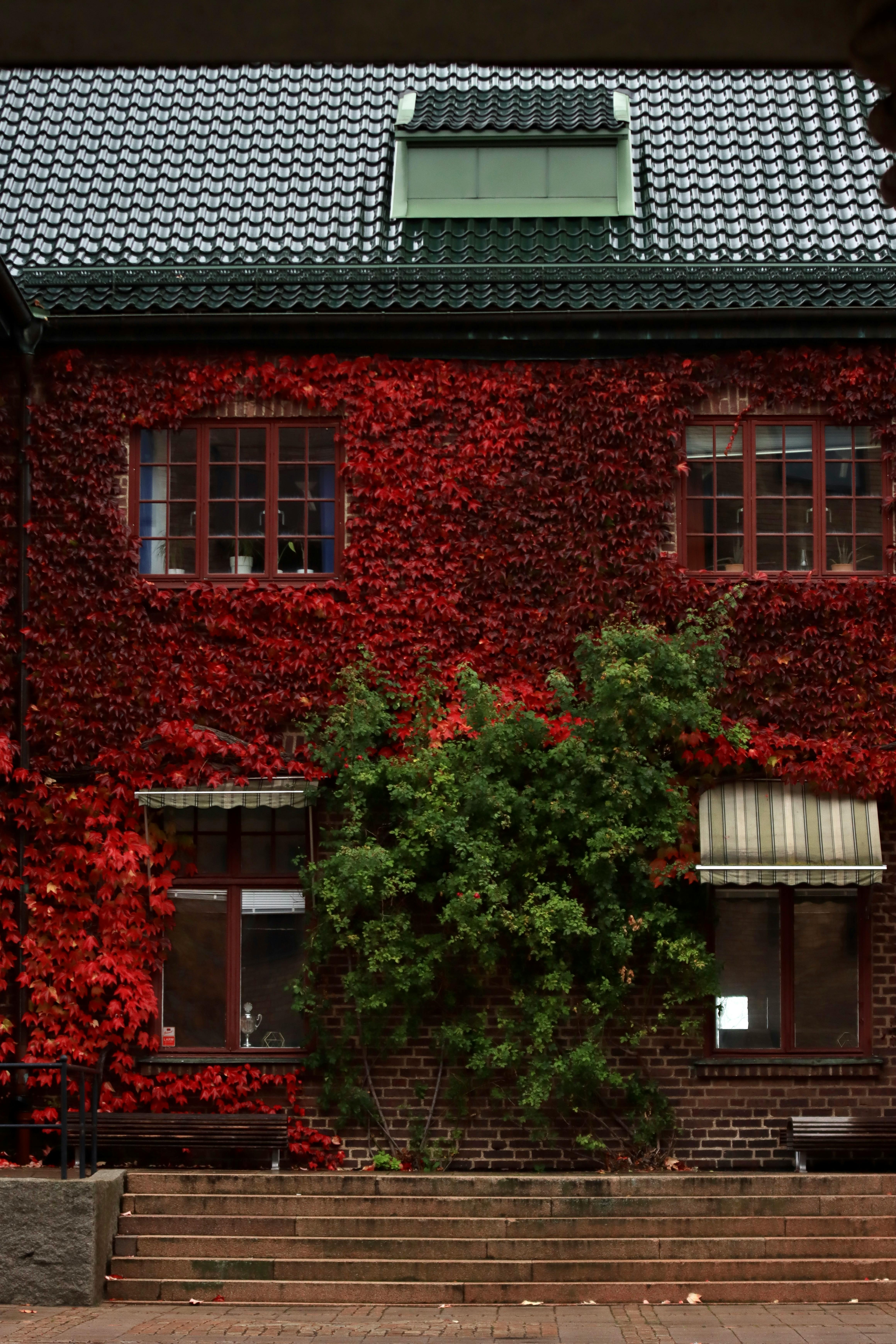 red brick building with green trees