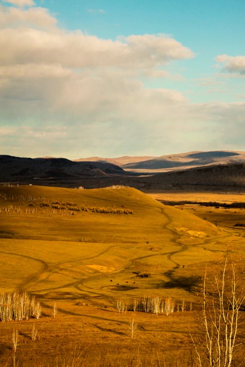 Free Serene autumn landscape of golden rolling hills and distant mountains under a bright sky. Stock Photo
