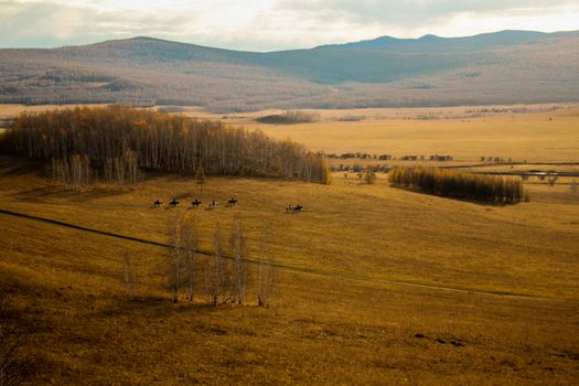 Hiking the Hulunbuir grassland