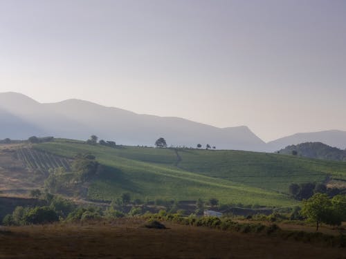 Green Grass Field Near Mountain