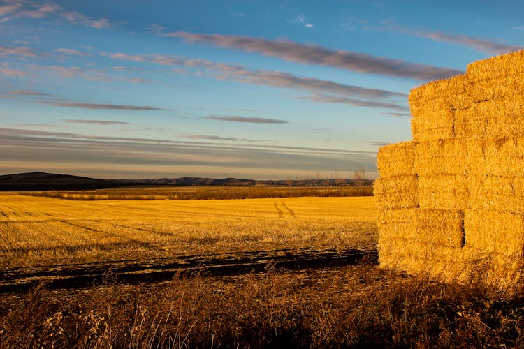 Haystack On The Field