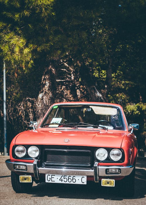 Classic Red Car Parked Near Green Leaf Tree