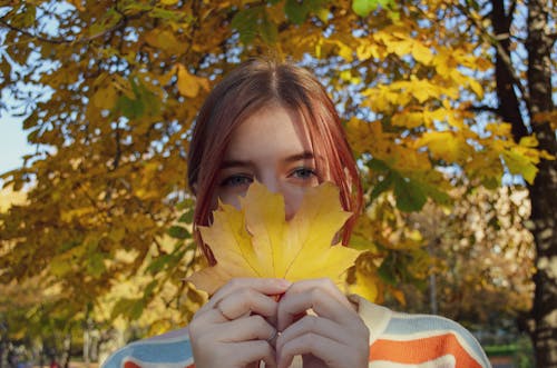 Close Up Photo of Woman Holding a Maple Leaf