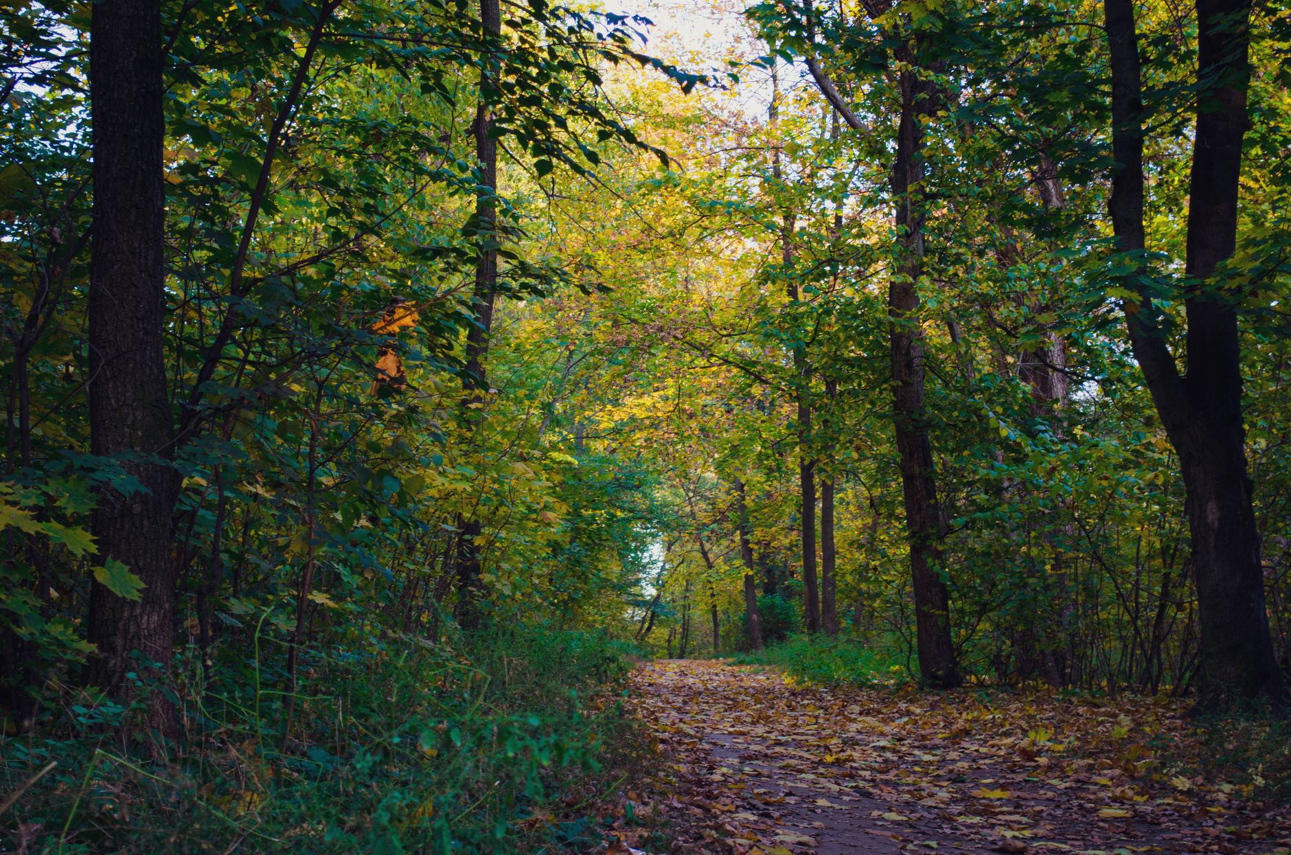 De Salaberry-de-Valleyfield à Montréal