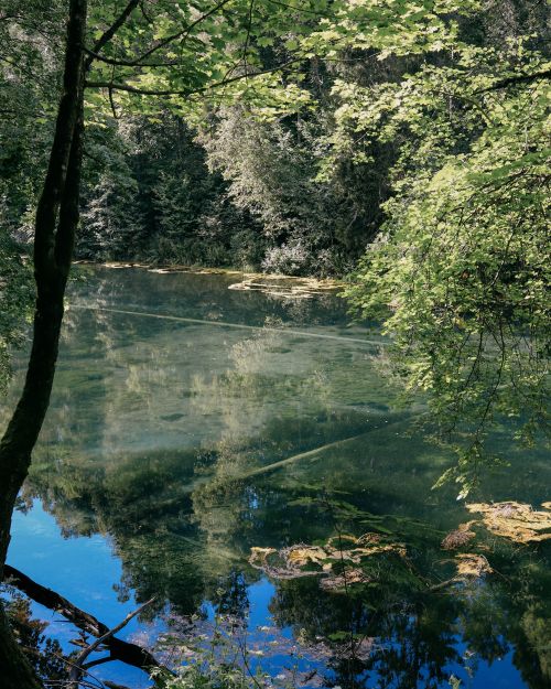 Free Tranquil forest river scene showcasing lush greenery and serene reflections on calm waters. Stock Photo