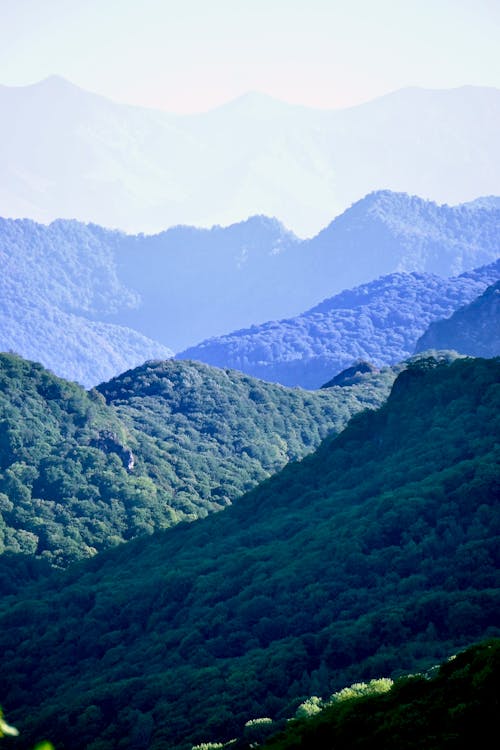 Gratis lagerfoto af bjerge, droneoptagelse, grønne træer