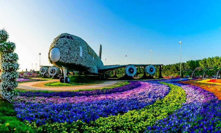 Airplane Covered In Flowers In Dubai Miracle Garden