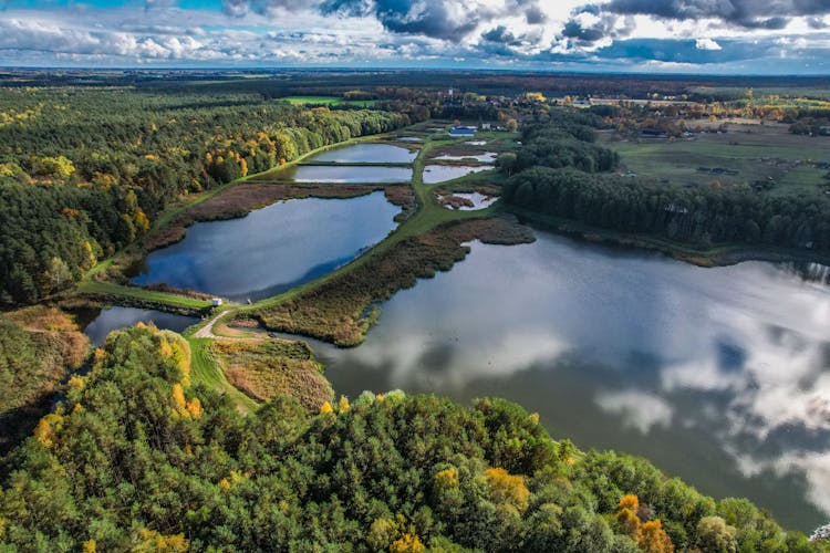 Lake And Ponds Landscape