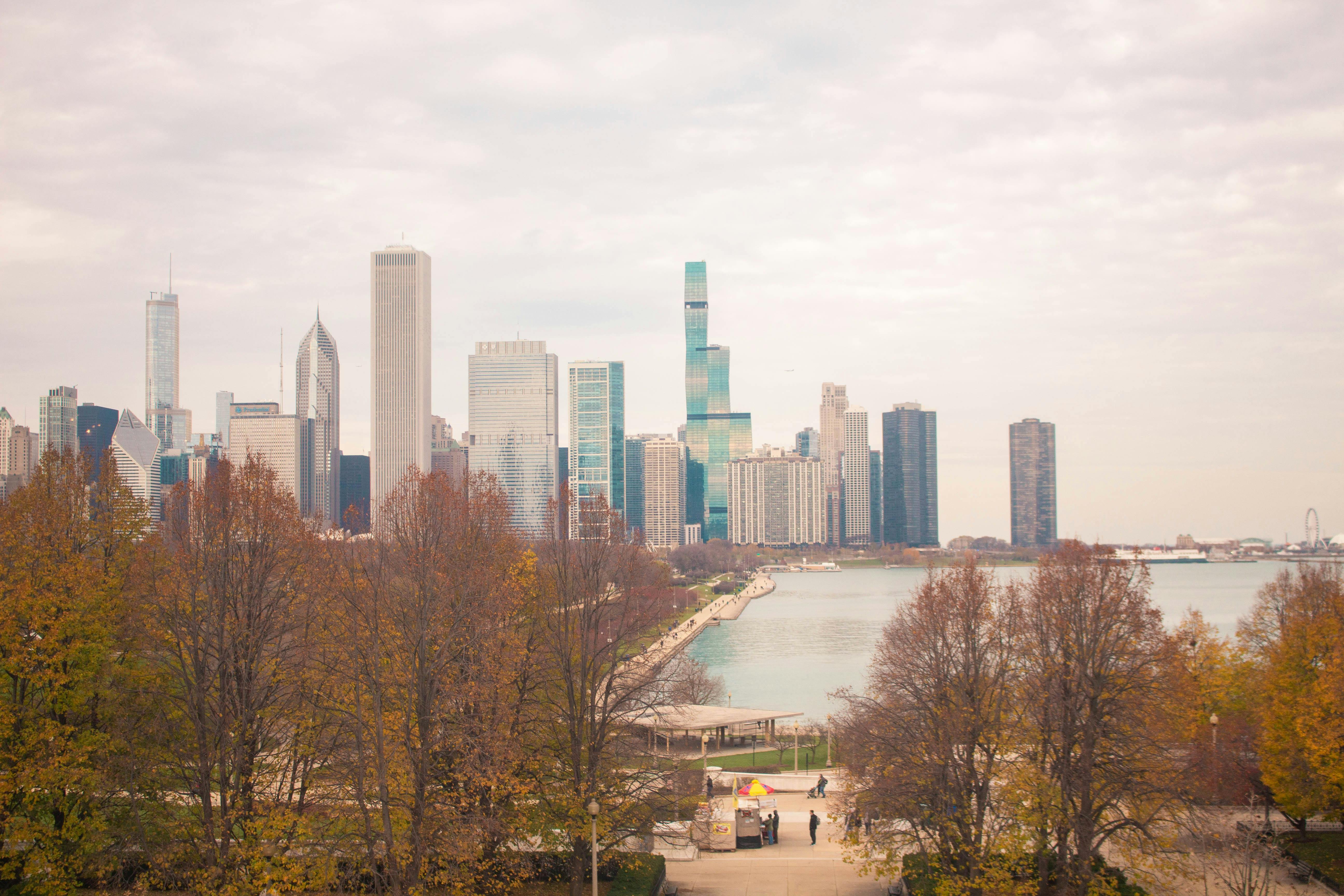 Chicago Skyline 4K wallpaper by H0PPALA  Download on ZEDGE  35b5