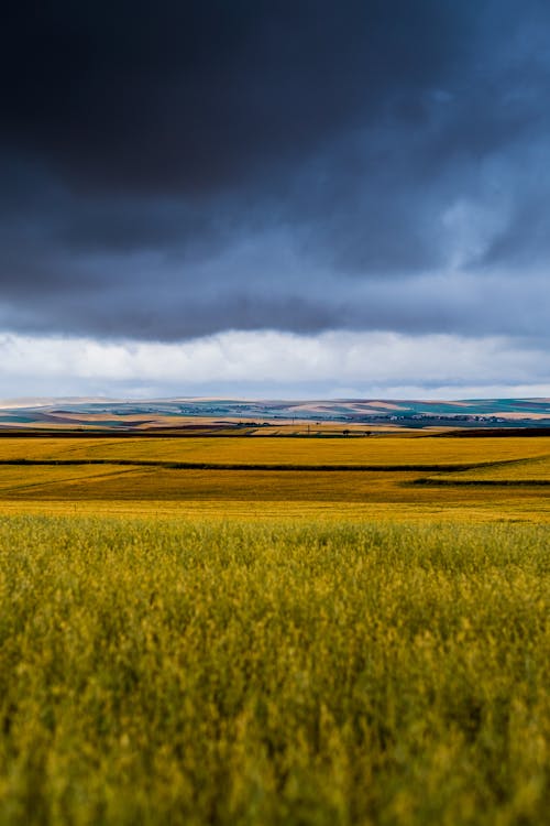 Photos gratuites de campagne, ciel nuageux, couvert