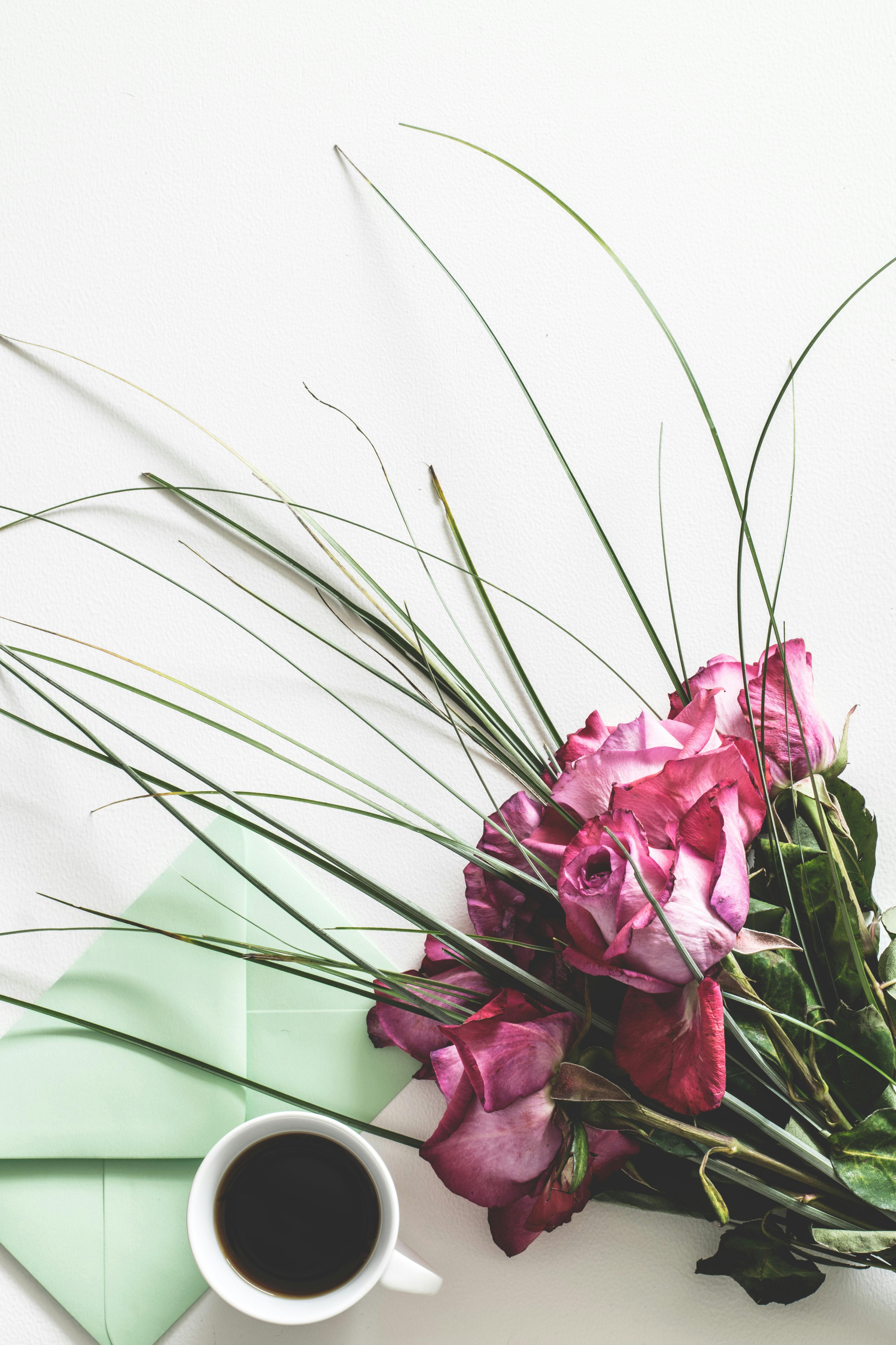 Pink Roses