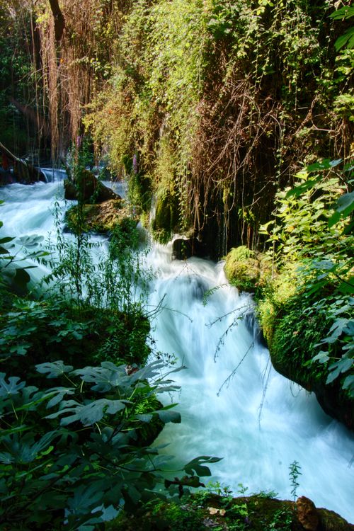 Free Discover the tranquility of a lush forest waterfall in Antalya, Turkey, perfect for nature lovers. Stock Photo