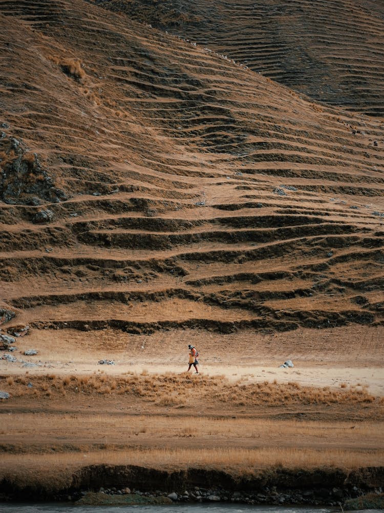 A Person Walking In A Desert