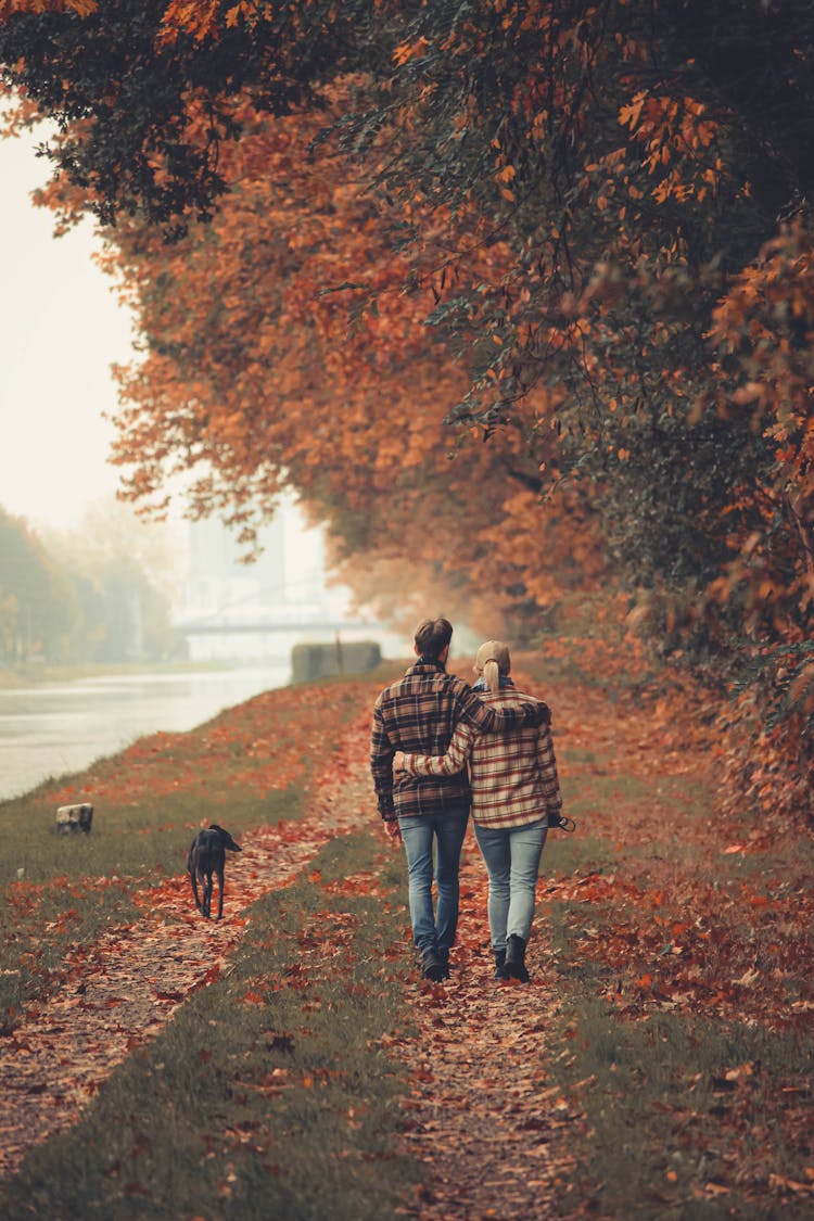 A Couple Walking With A Dog In Autumn