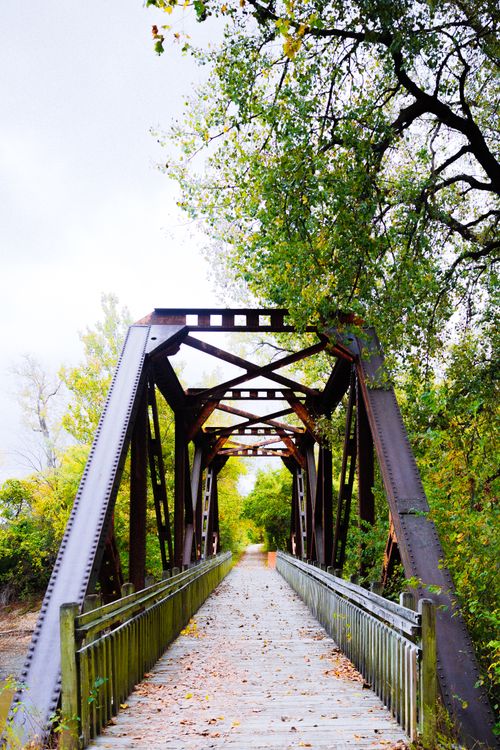 Free A rustic metal bridge crosses a wooden pathway amid lush green trees, showcasing natural symmetry. Stock Photo