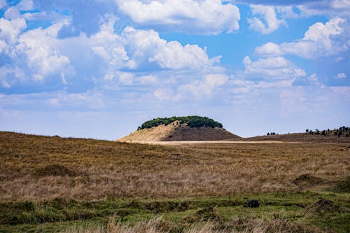 A Brown Grass Field Near a Hill