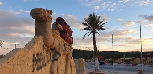 Free petrified camel Stock Photo