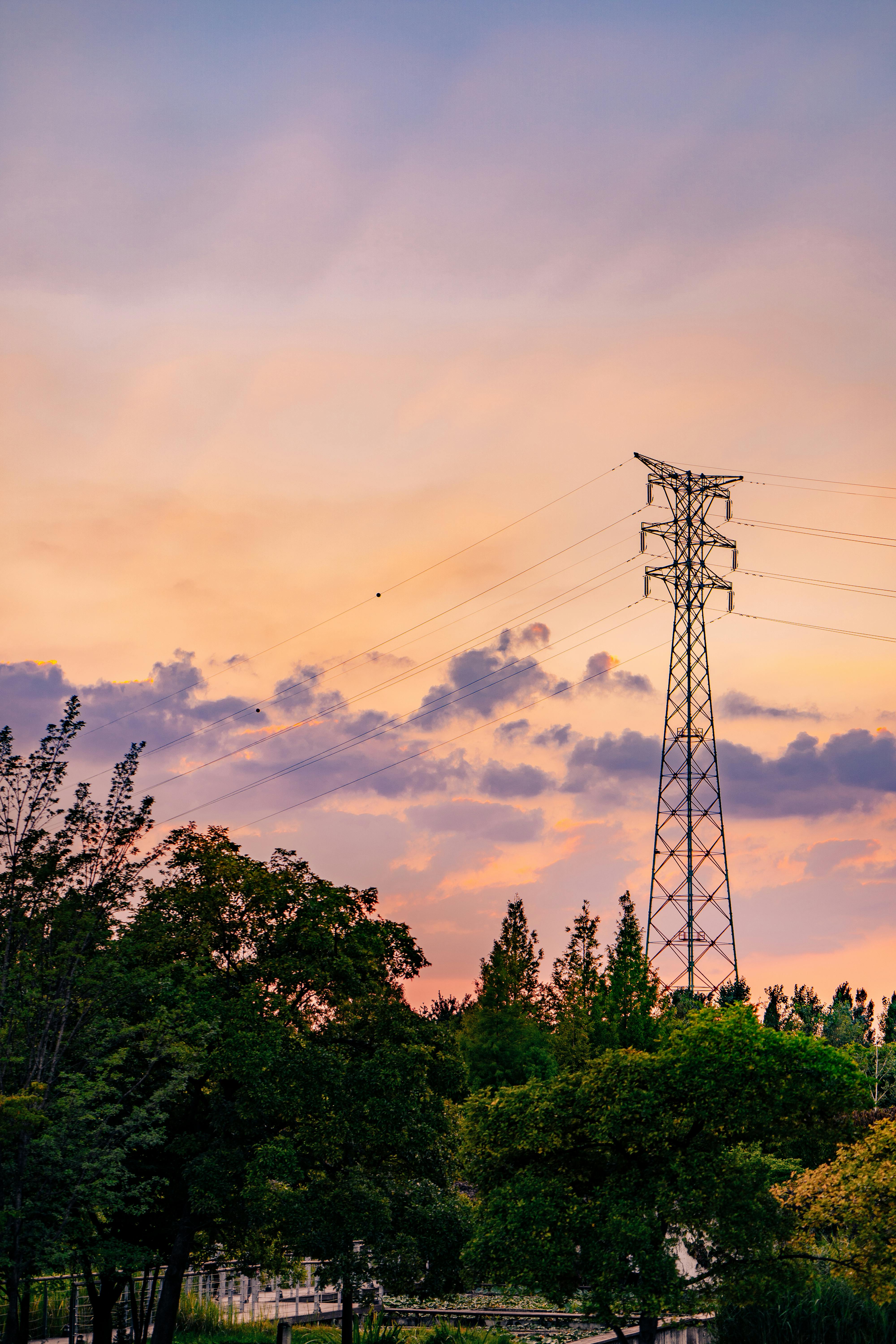 Landscape Photography of Trees Near Electricity Tower ...