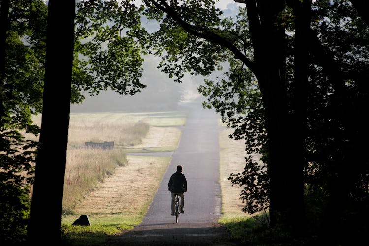 A Person Riding A Bicycle On Road