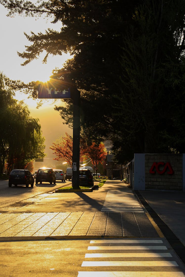 Vehicles Traffic On Street