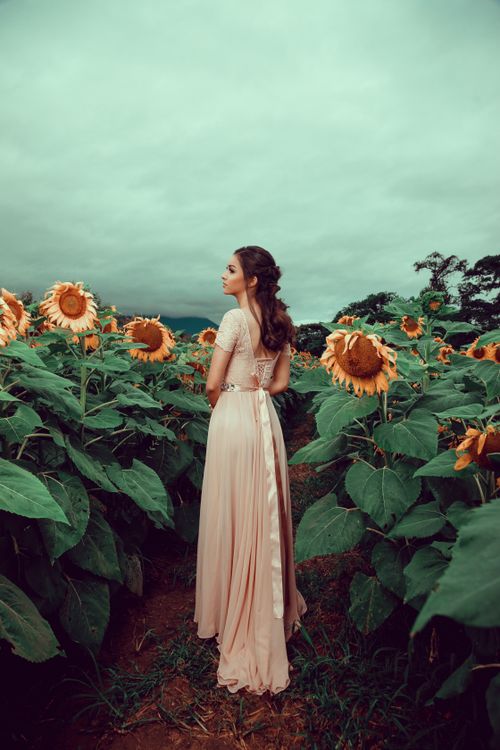 green dress in sunflower field Woman Wearing Green Tube Dress And Sunhat Standing In The Middle Of Sunflower Meadow Free Stock Photo