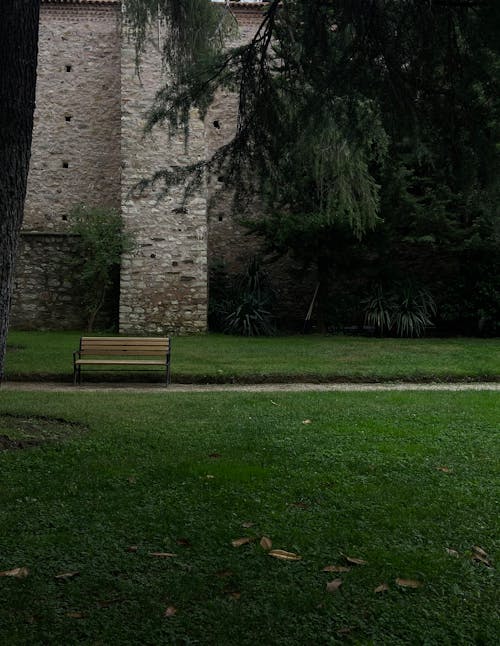 Wooden Bench in the Park