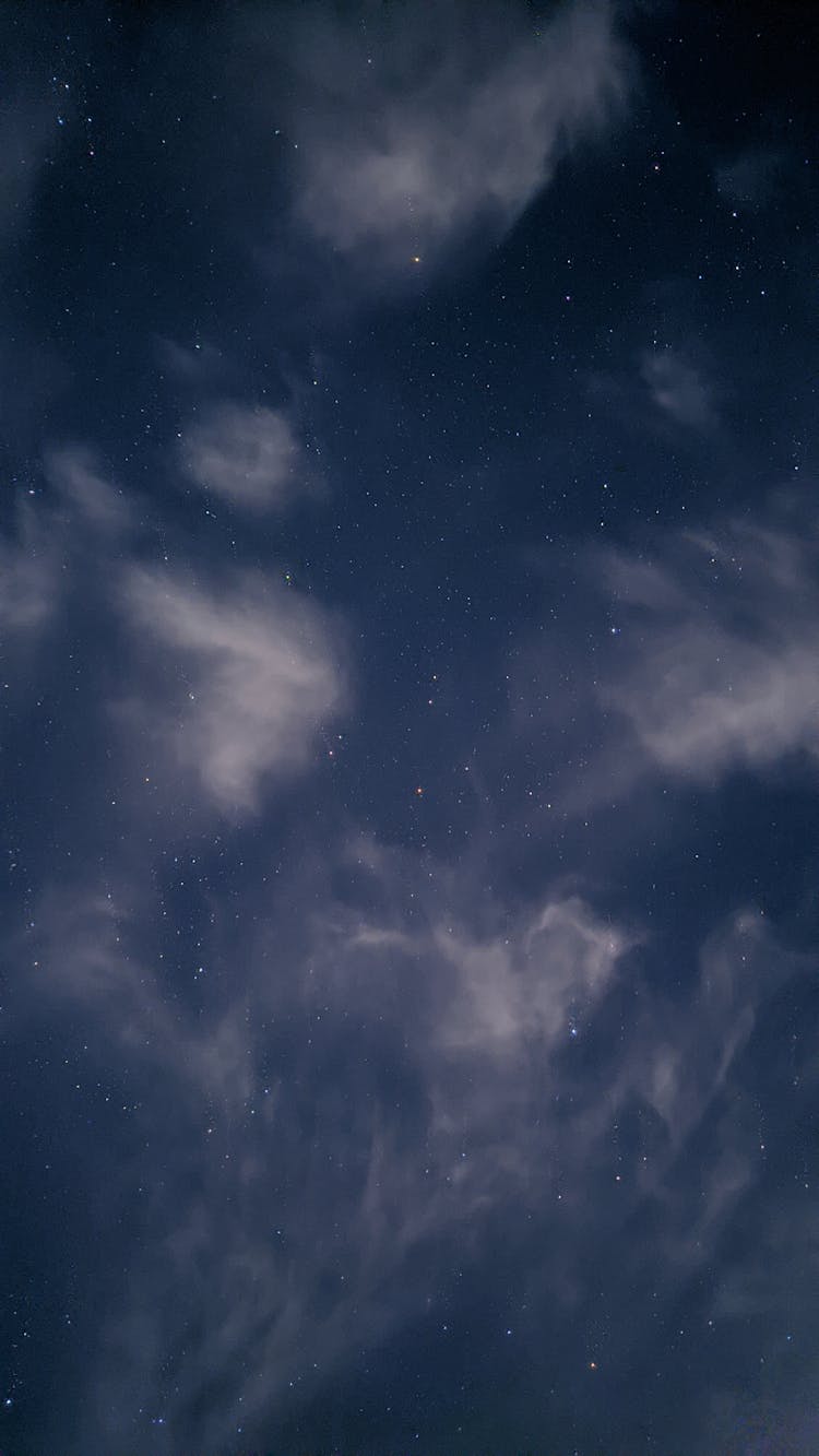 Stars In The Night Sky 