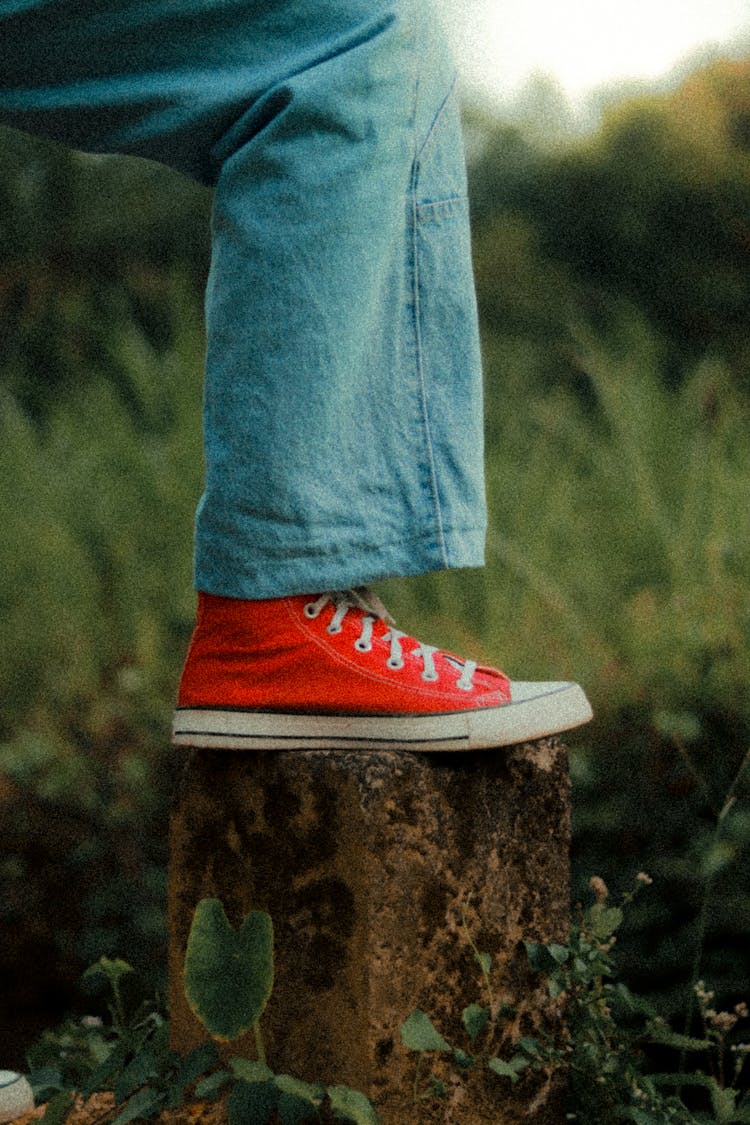 Leg In A Red Sneaker Resting On A Trunk In Meadow