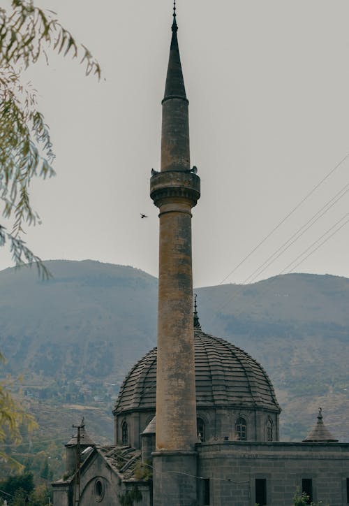 タワー, ミナレット, モスクの無料の写真素材