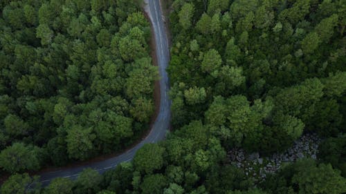 Безкоштовне стокове фото на тему «високий кут зору, глибокий, дерева»