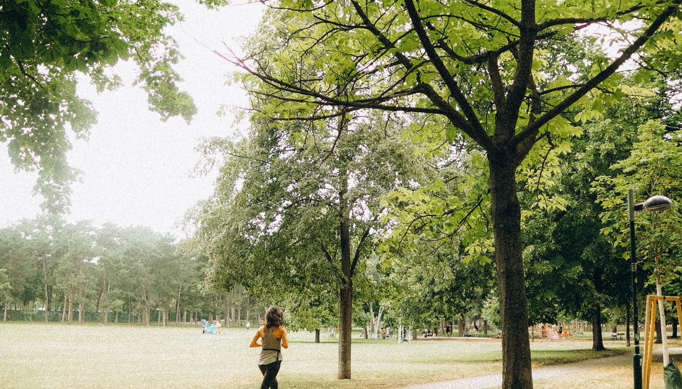 start jogging beginners — Woman Jogging in a Park · Free. Photo: Pexels