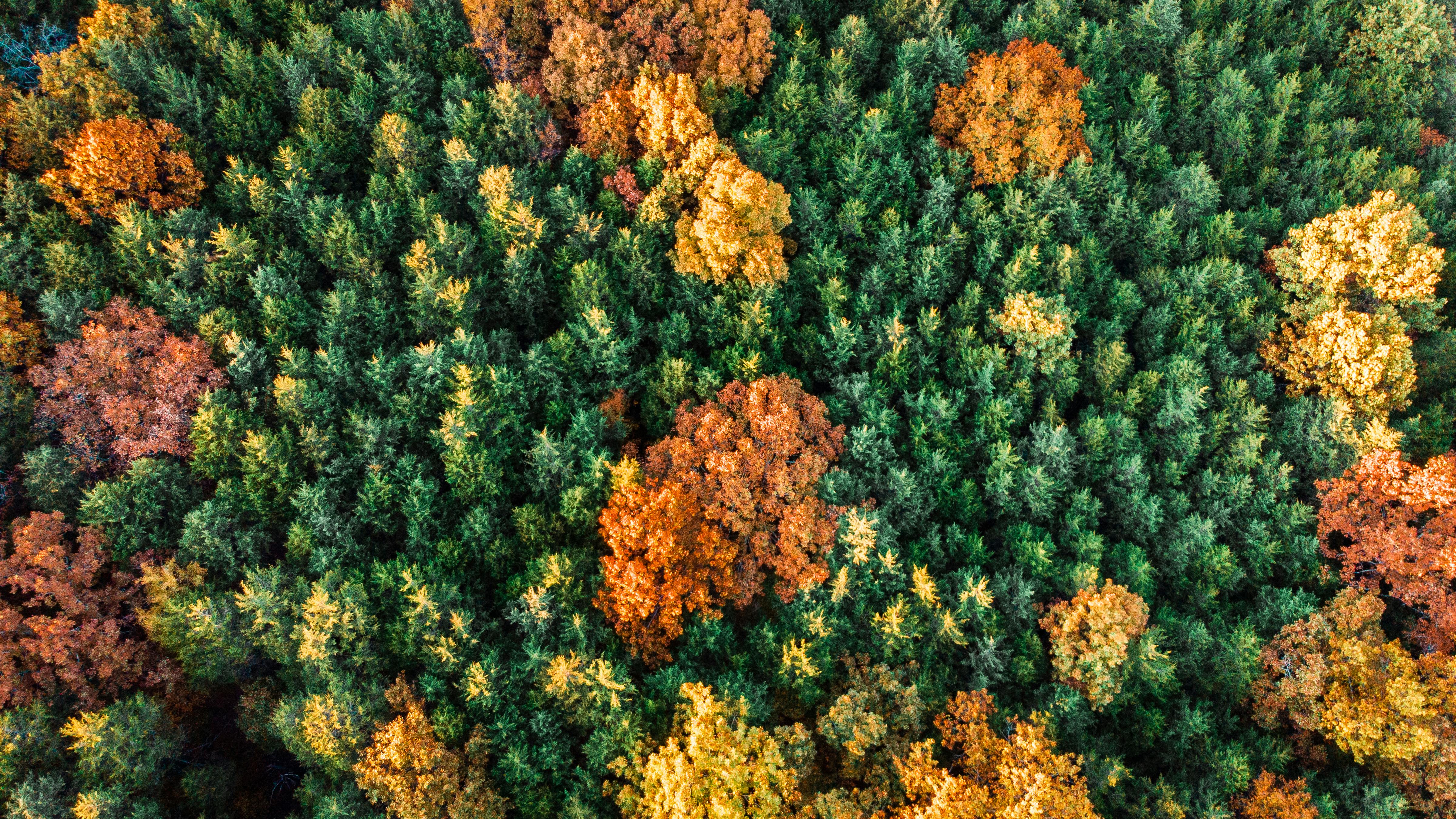 corporate governance esg corporate governance essay — Photo by Ethan Harkey on Pexels
