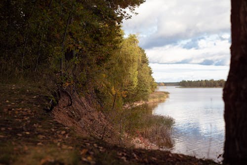 Ilmainen kuvapankkikuva tunnisteilla joen ranta, joki, luonto