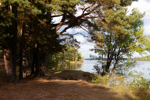 Ilmainen kuvapankkikuva tunnisteilla järvi, jauhettu, lehvät