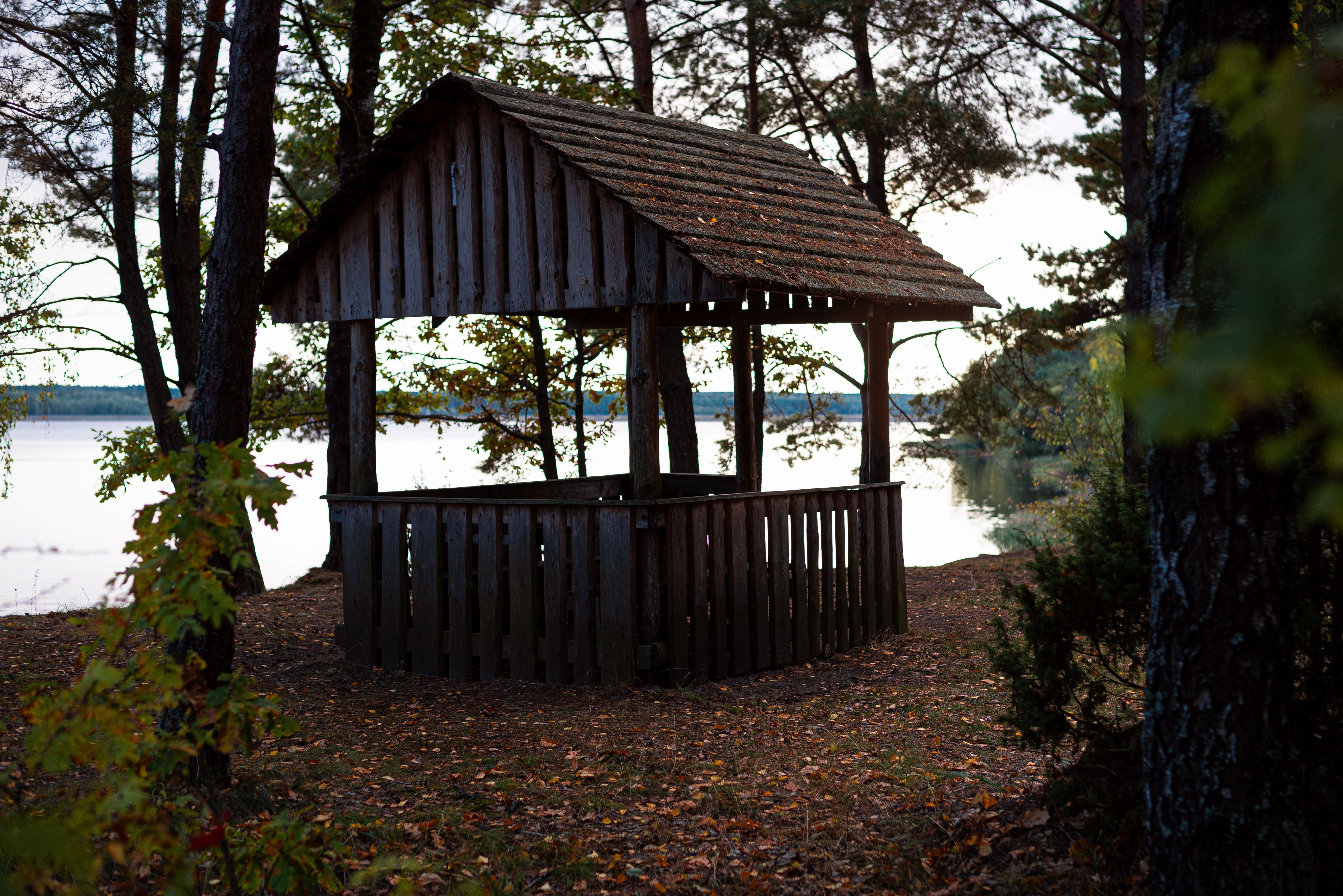 Wooden Gazebo in Park by Lake Shore · Free Stock Photo