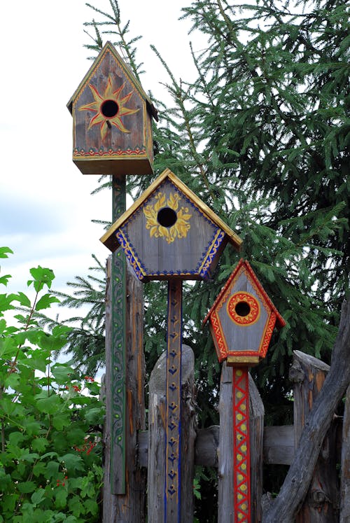 Ingyenes stockfotó birdhouses, erdő, fa témában Stockfotó