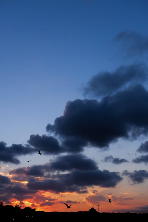 Gratis arkivbilde med dramatisk himmel, fargerik, fugler