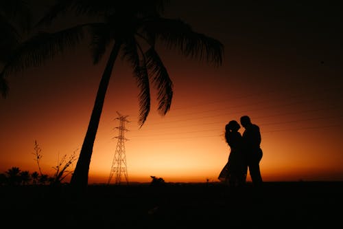 Silhouette of Couple Near the Tree