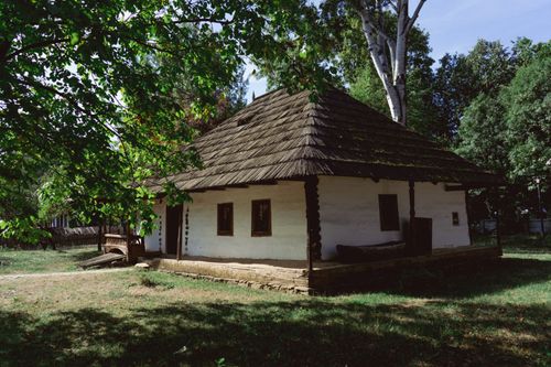 Free A quaint wooden cottage nestled among trees in a serene rural setting under bright daylight. Stock Photo