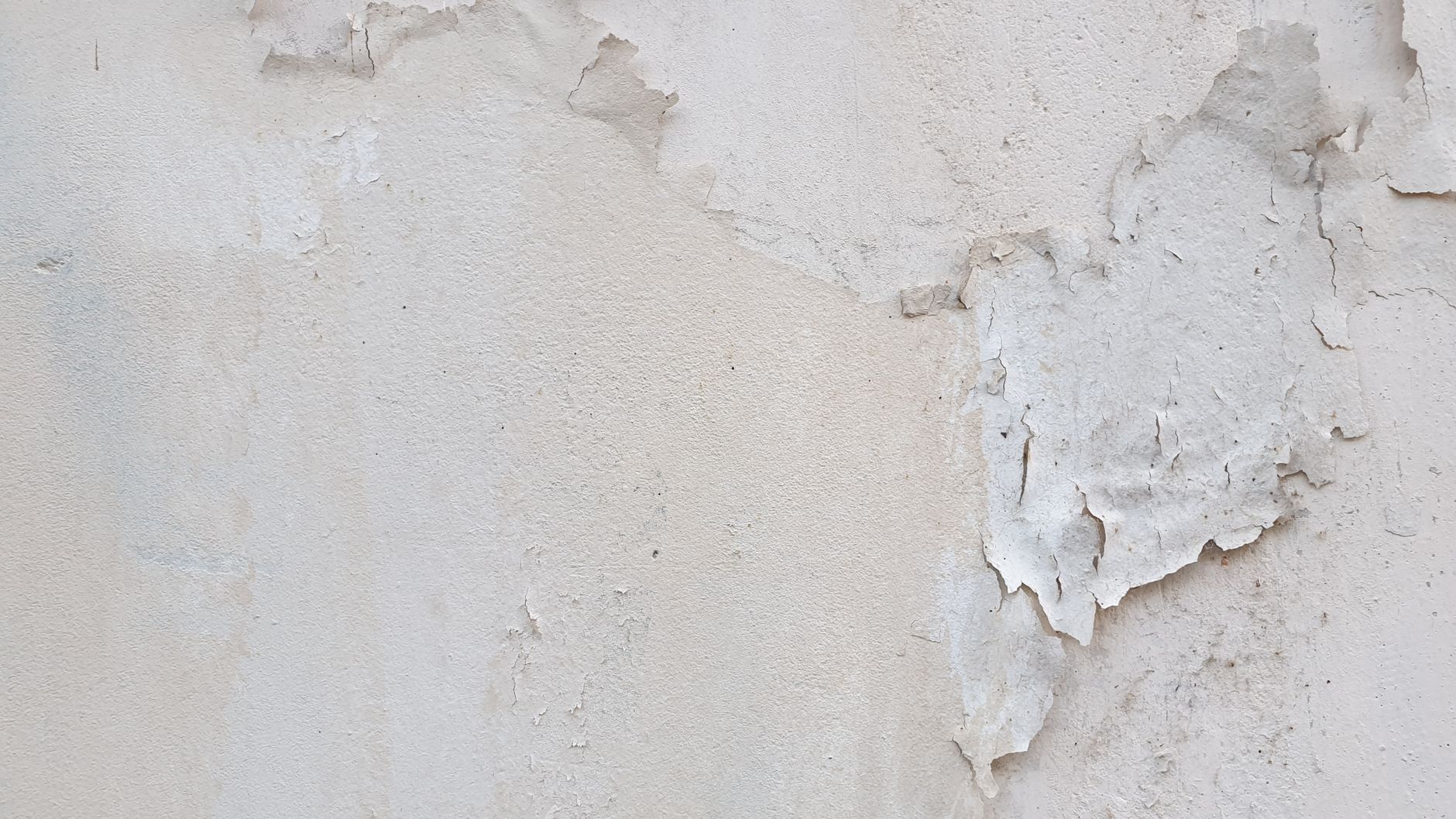 Close-up view of peeling paint on a concrete wall, showcasing texture and wear.