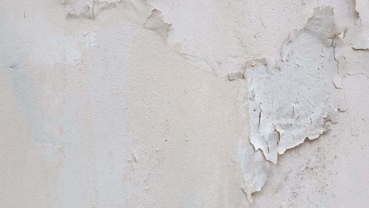 Rising Damp Treatment