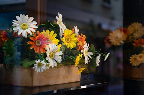 Foto profissional grátis de cheio de cor, decorativo, flores