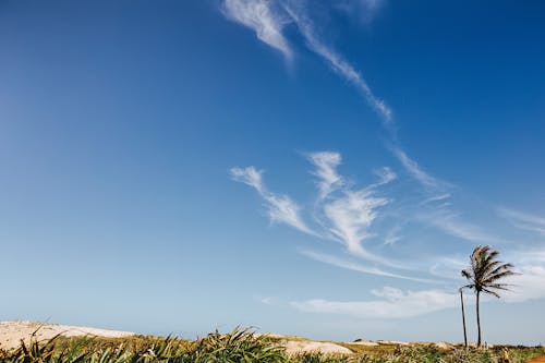 Gratis lagerfoto af bane, blå himmel, græs