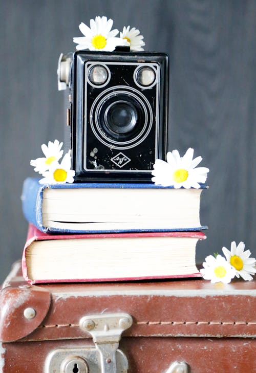 Antique Camera on Books