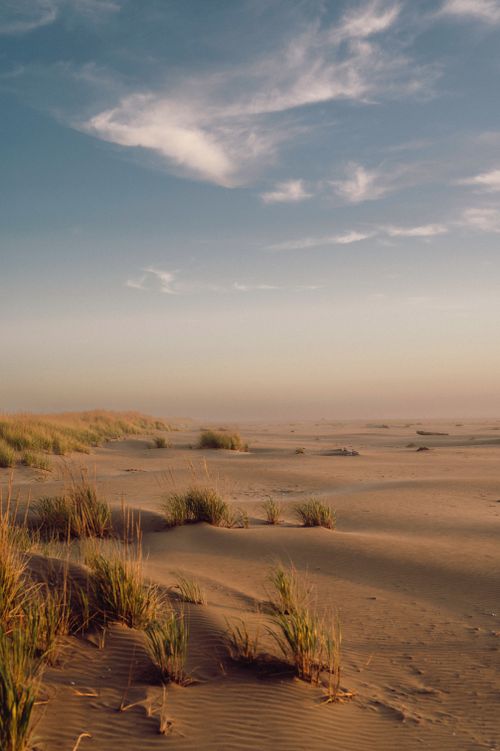 Free Calm desert scene with sand dunes and blue sky, capturing nature's beauty at sunset. Stock Photo