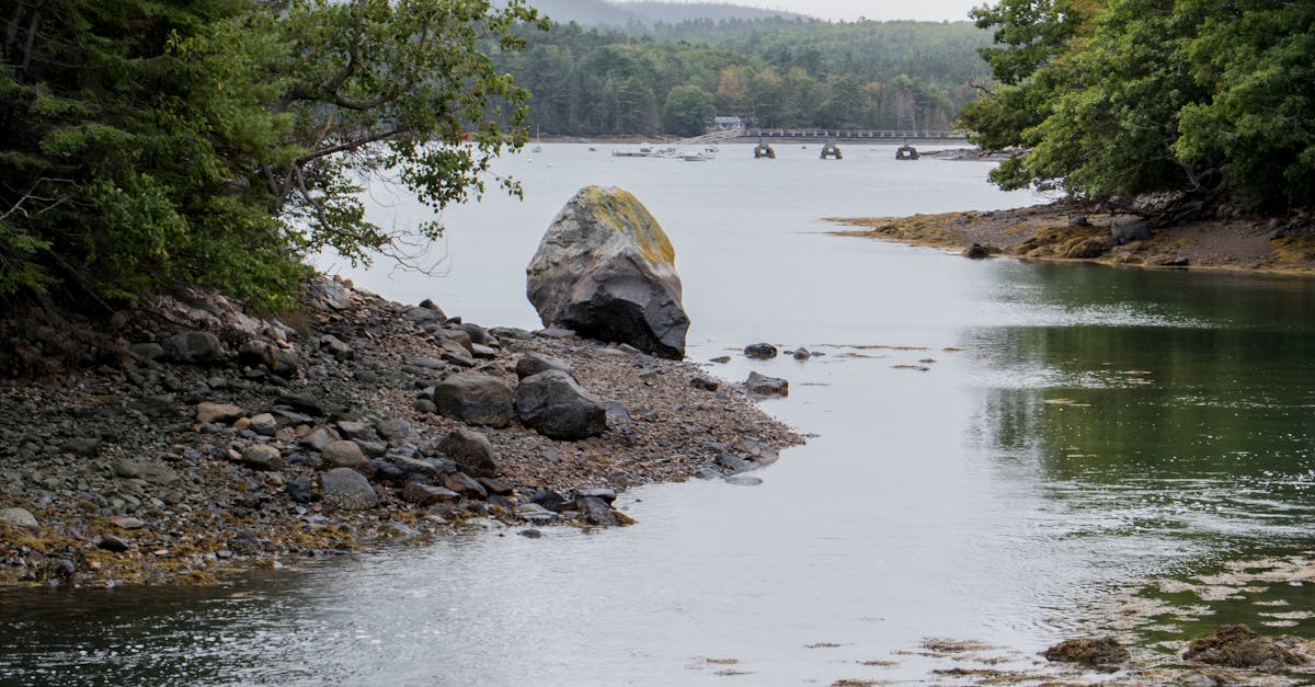 Landscape with Rocks in a River · Free Stock Photo