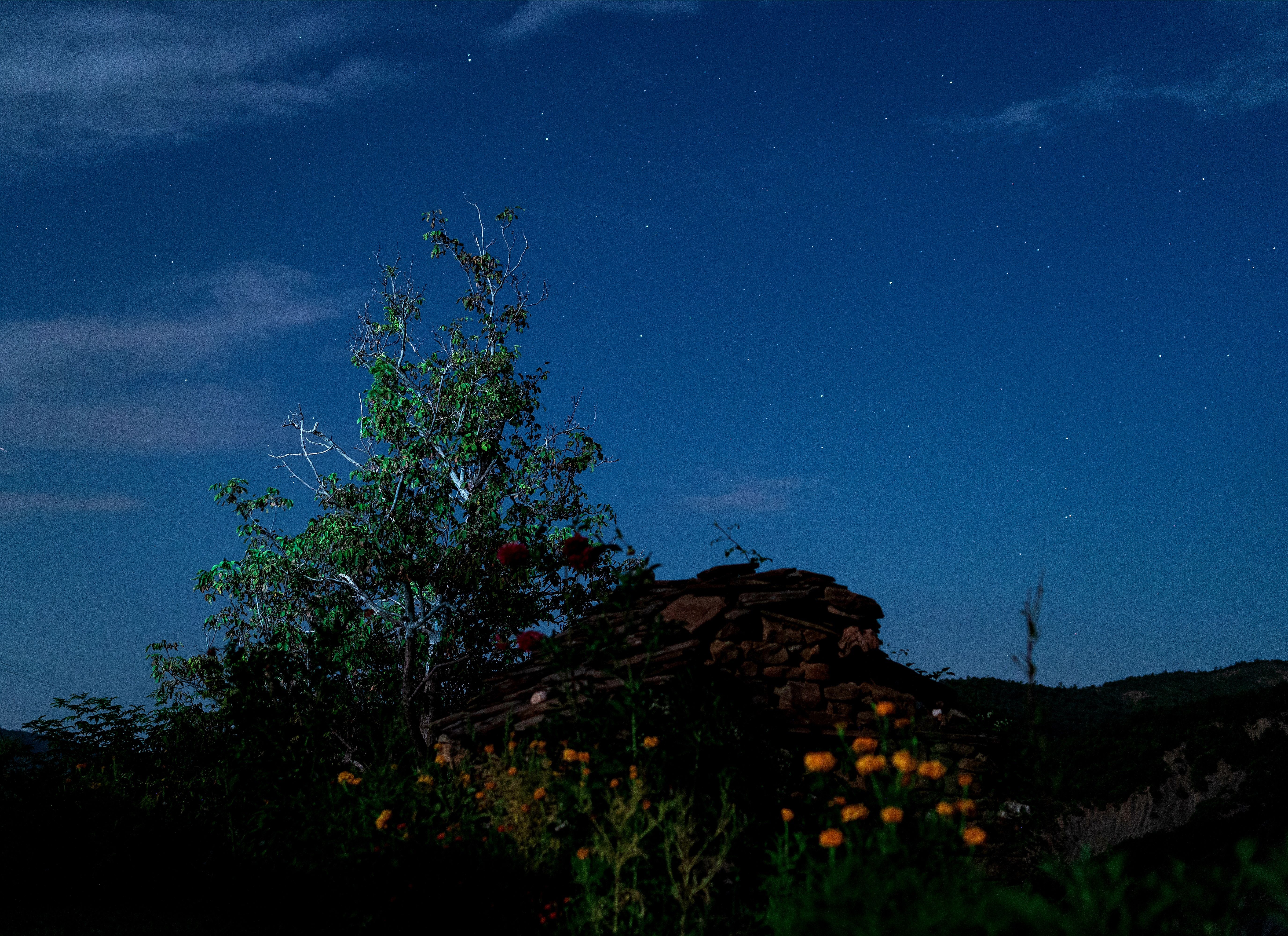 Pictorial Shot Photos, Download The BEST Free Pictorial Shot Stock ...