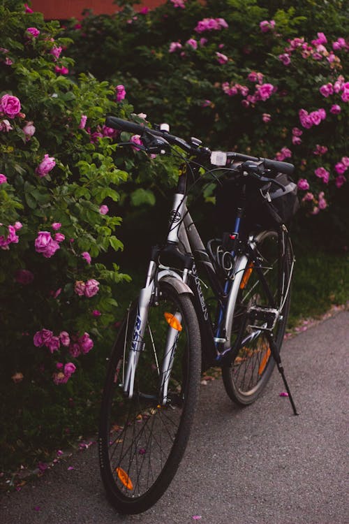 Gray and Black Hardtail Bike Beside Pink Flowers