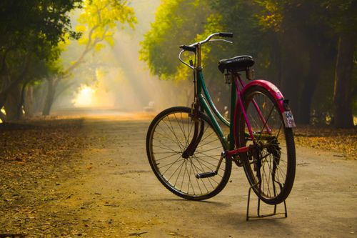 Free A vintage bicycle stands on a sunlit forest path with golden morning light streaming through the trees. Stock Photo